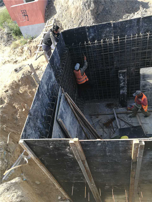 �����½���̖��